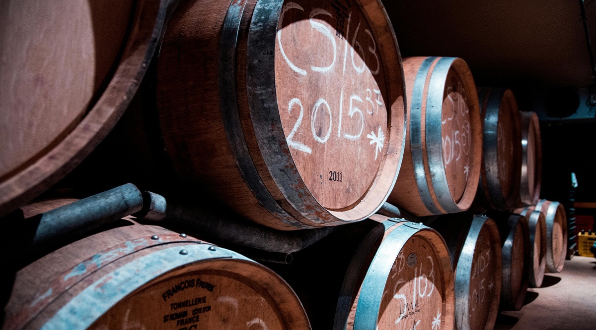 barreño de vino en bodega