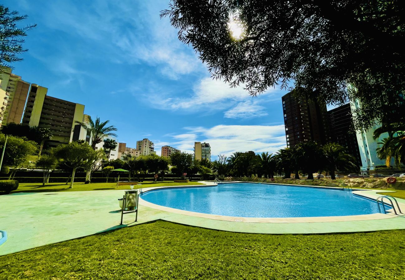 Swimming pool and natural lawn of the holiday flat in Finestrat