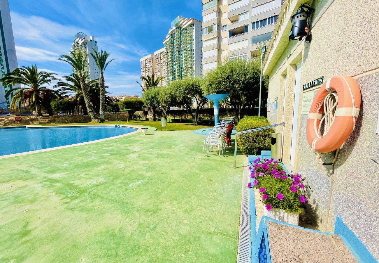 Apartment in Cala de Finestrat - A885 - Calasol